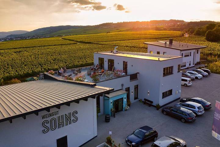 Ferienwohnung für 3 Personen in Geisenheim