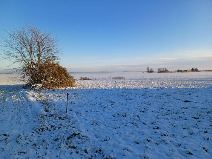 Ferienwohnung für 3 Personen, mit Garten