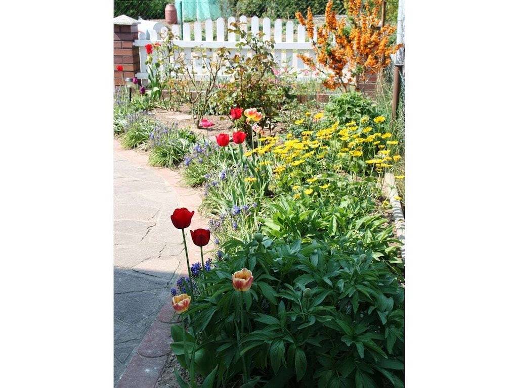 Ferienhaus in Ludorf mit Schwimmbecken in Ludorf, Müritz