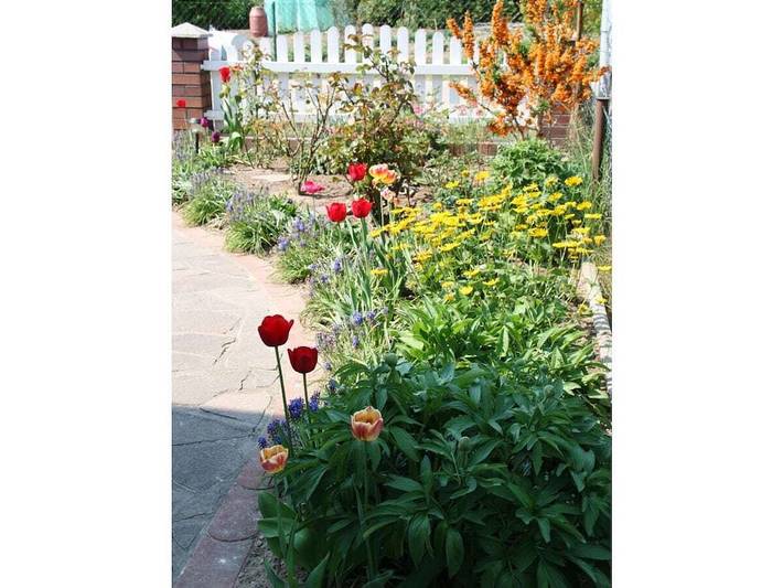 Ferienhaus für 4 Personen, mit Terrasse in Ludorf - 2