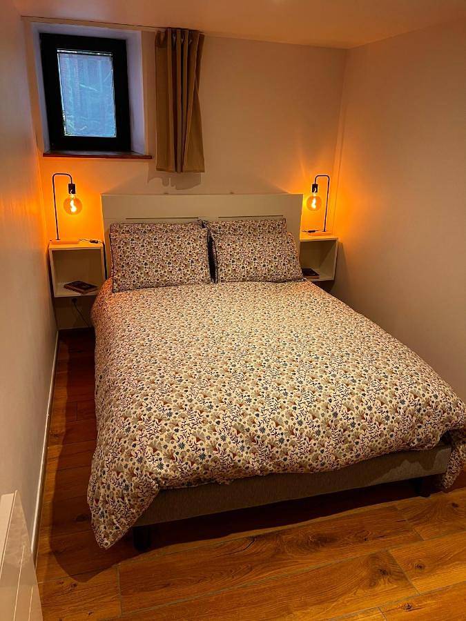 Location de vacances pour 4 personnes, avec jacuzzi et jardin à Saint-Avit-de-Tardes - 3
