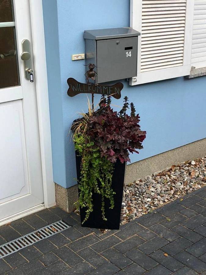 Holiday Home in Wischuer, Biendorf