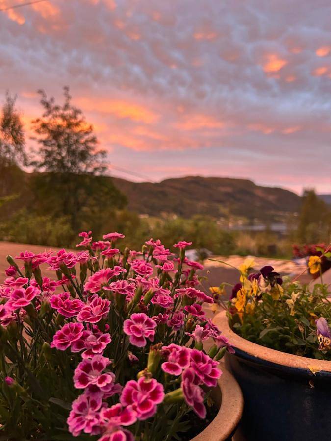 Ferienhaus für 6 Personen, mit Ausblick und Garten - 1
