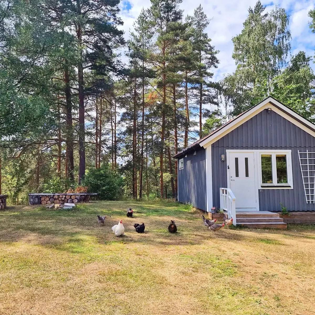 Villa voor 5 personen in Vimmerby region