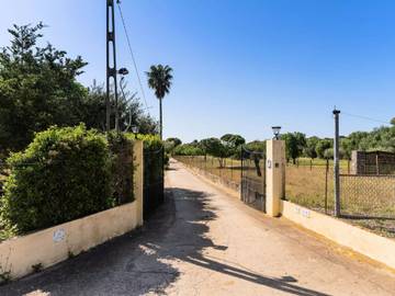 Villa in Búger, Mallorca Inselmitte für 3 