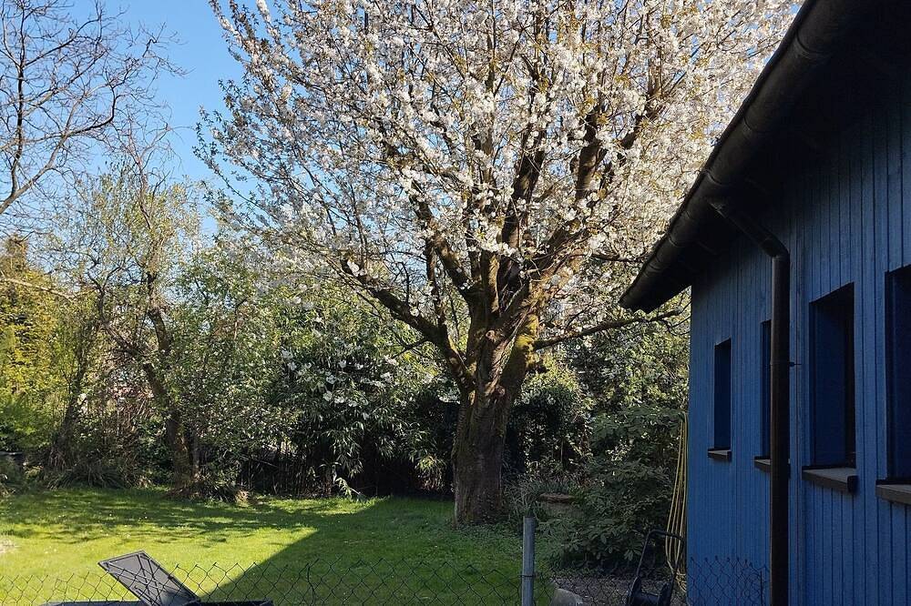 Ruhig gelegene kleinere Doppelhaushälfte in Stadtkernnähe, das Bad ist ein Traum in Neukirchen-Vluyn, Niederrhein