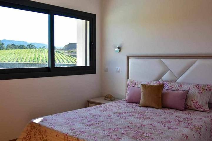 Casa dos Mirtilos Draper T6 in Britelo, Gémeos e Ourilhe, Distrito de Braga