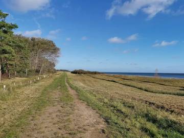 Feriehus til 6 Personer i Marielyst, Lolland-Falster, Bilde 4