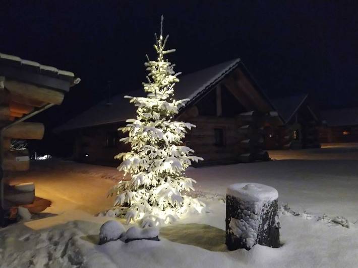 Ferienhaus für 3 Personen, mit Ausblick und Garten sowie Sauna in Mecklenburg-Strelitz - 4