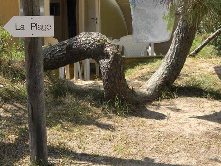 Camping Mahana by La Pège  - Hébergement 4 personnes - Coco sweet- Kon Tiki - 2 chambres - 16m² 4 pers in Saint-Hilaire-de-Riez, Vendée