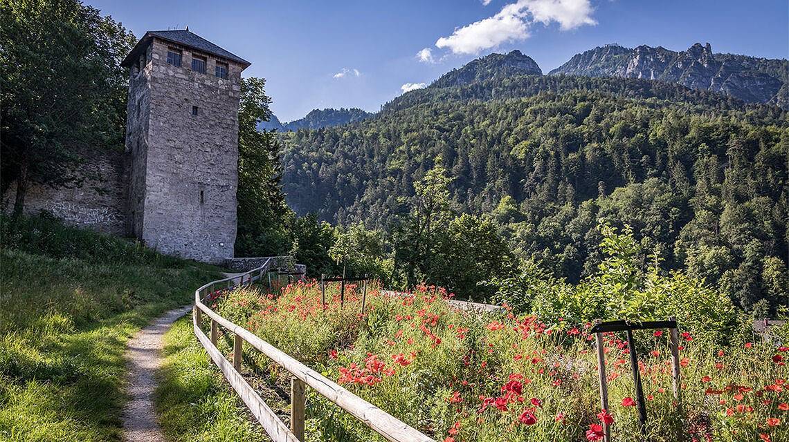 Ganze Ferienwohnung, Ferienwohnungen Brigitte in der Altstadt - Tiroler Ferienwohnung Nr. 2, bis 2 Personen, 25qm in Bad Reichenhall, Berchtesgadener Alpen