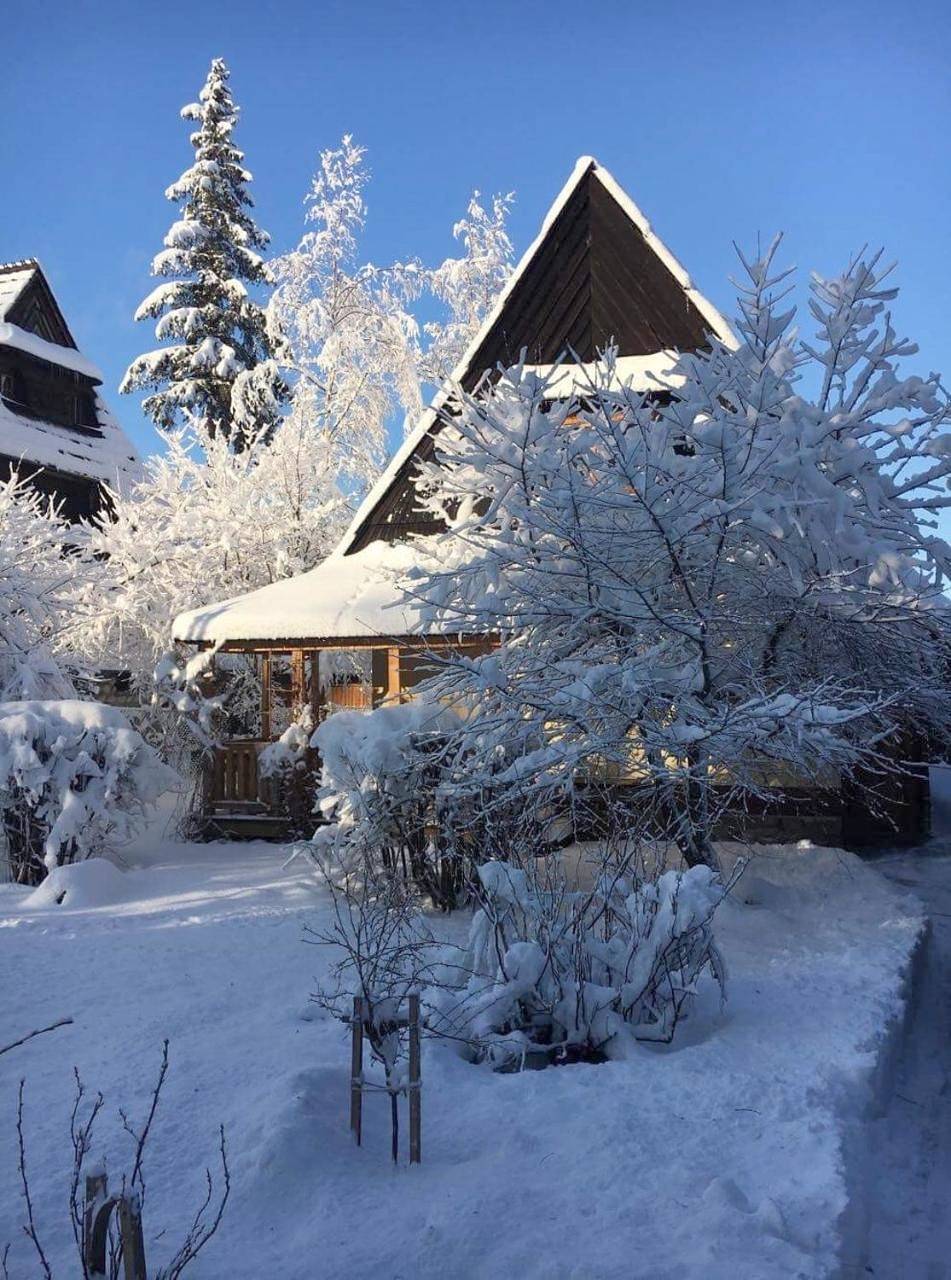 Domek Leśny in Zakopane, Karpaty (Polska)