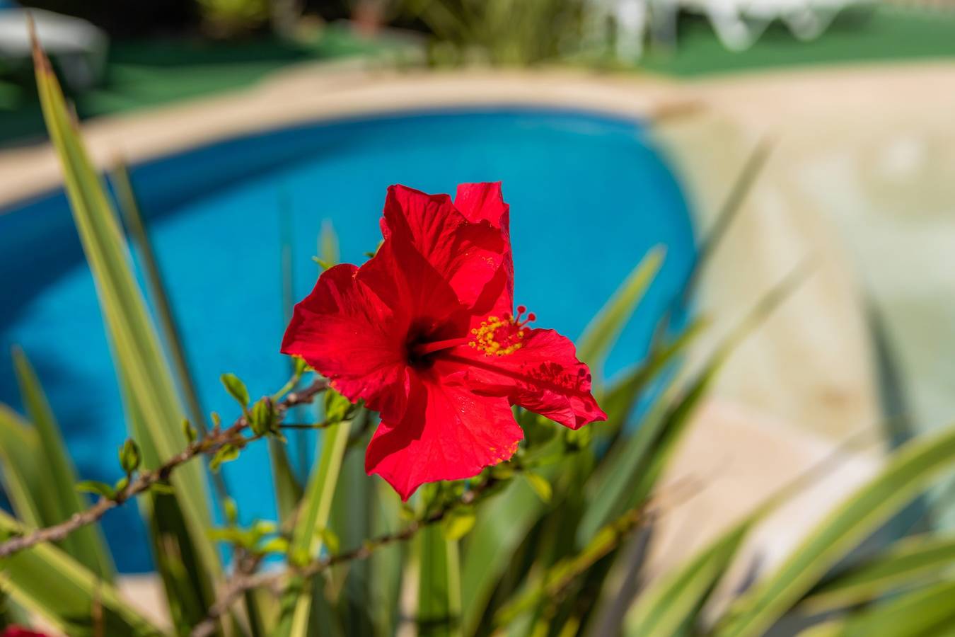 Apartment Close to the Beach with Pool Access, Private Terrace, Air Conditioning and Wi-Fi, foto 12