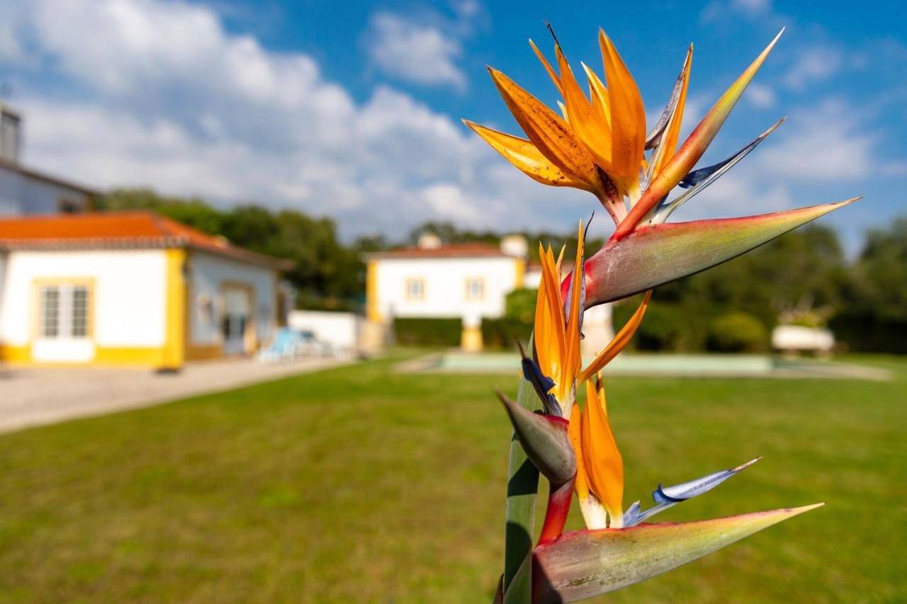 Quinta do Pé Descalço Guesthouse Sintra in Sintra, Costa de Lisboa