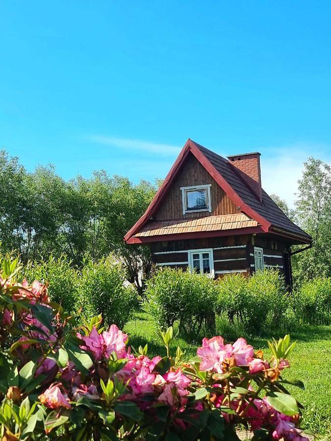 Domki Osada Werdołyna in Karpaty (Polska)