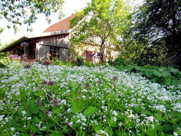 Ferienhaus Apfelhof in Schwinkendorf, Moltzow