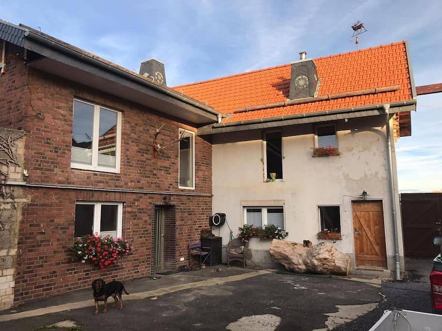 Ganze Wohnung, Two-Bedroom Apartment in Weilerswist, Rheinland