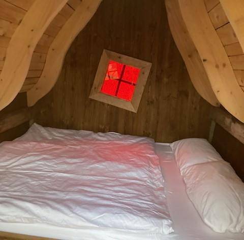 Camping für 2 Personen, mit Haustier in Rheinland-Pfalz - 4