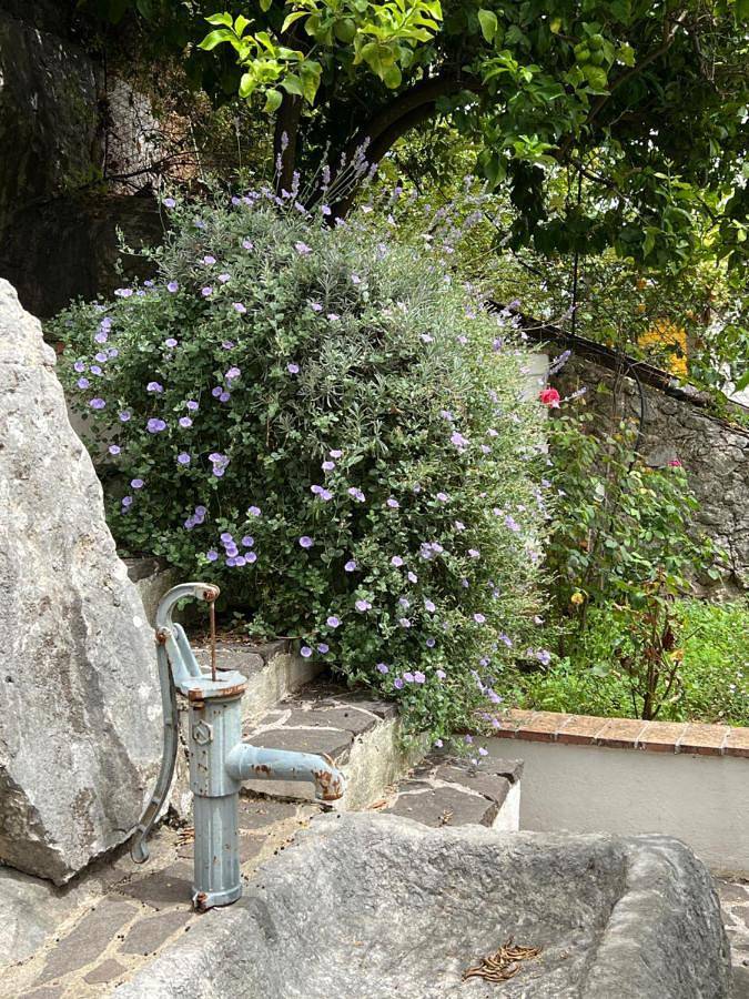 Location de vacances pour 2 personnes, avec vue et jardin, adapté aux familles dans Cassino - 4