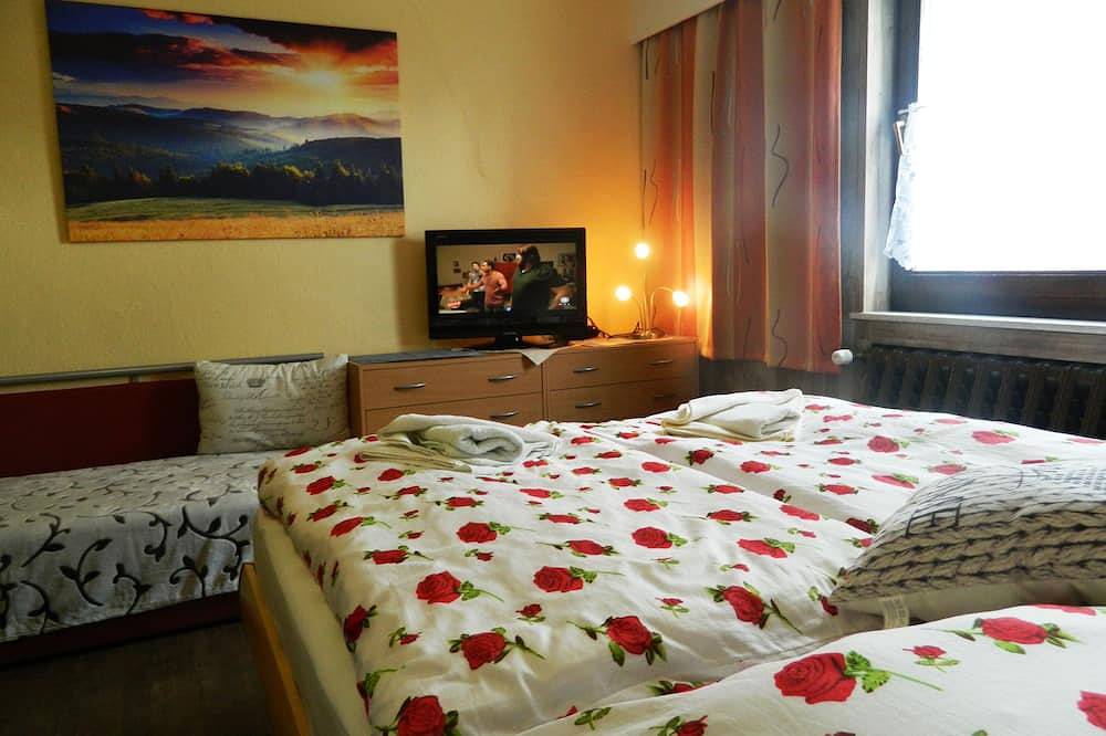 Ganze Wohnung, Kleines Ferienappartment mit Blick zum Berg Bärenstein in Bärenstein, Erzgebirge