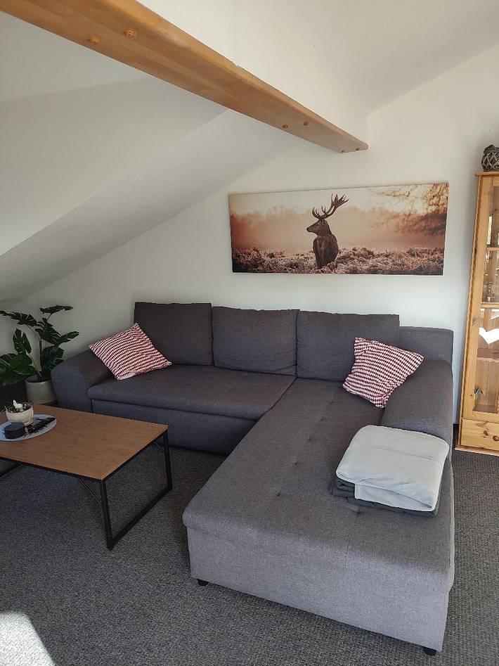 Ferienhaus für 4 Personen, mit Balkon und Balkon/Terrasse, kinderfreundlich in Bayerisch Eisenstein - 4