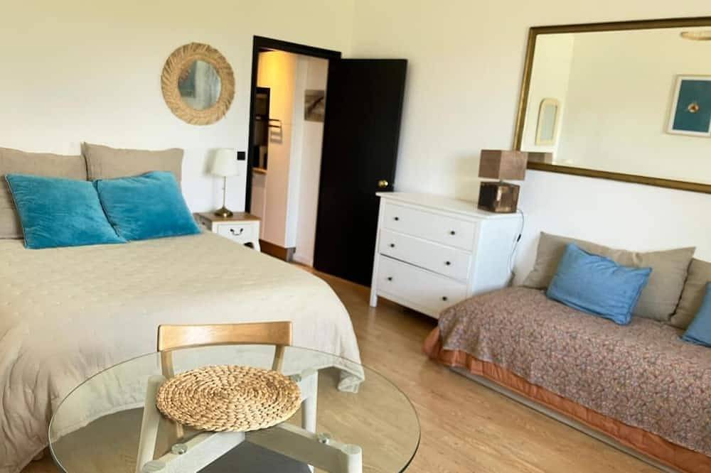 Appartement entier, Studio 300 m de la plage du golf et du centre ville de Biarritz. Calme et clair in Le Phare (Biarritz), Biarritz