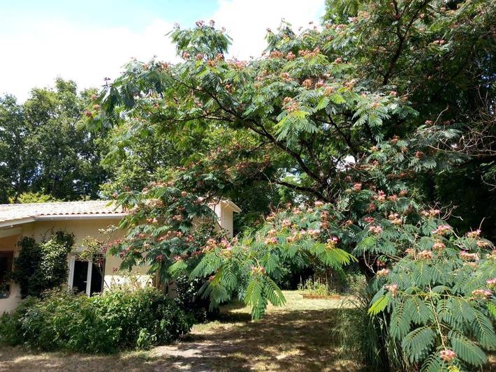 Location de vacances pour 10 personnes, avec vue ainsi que jardin et piscine à Queyrac - 3
