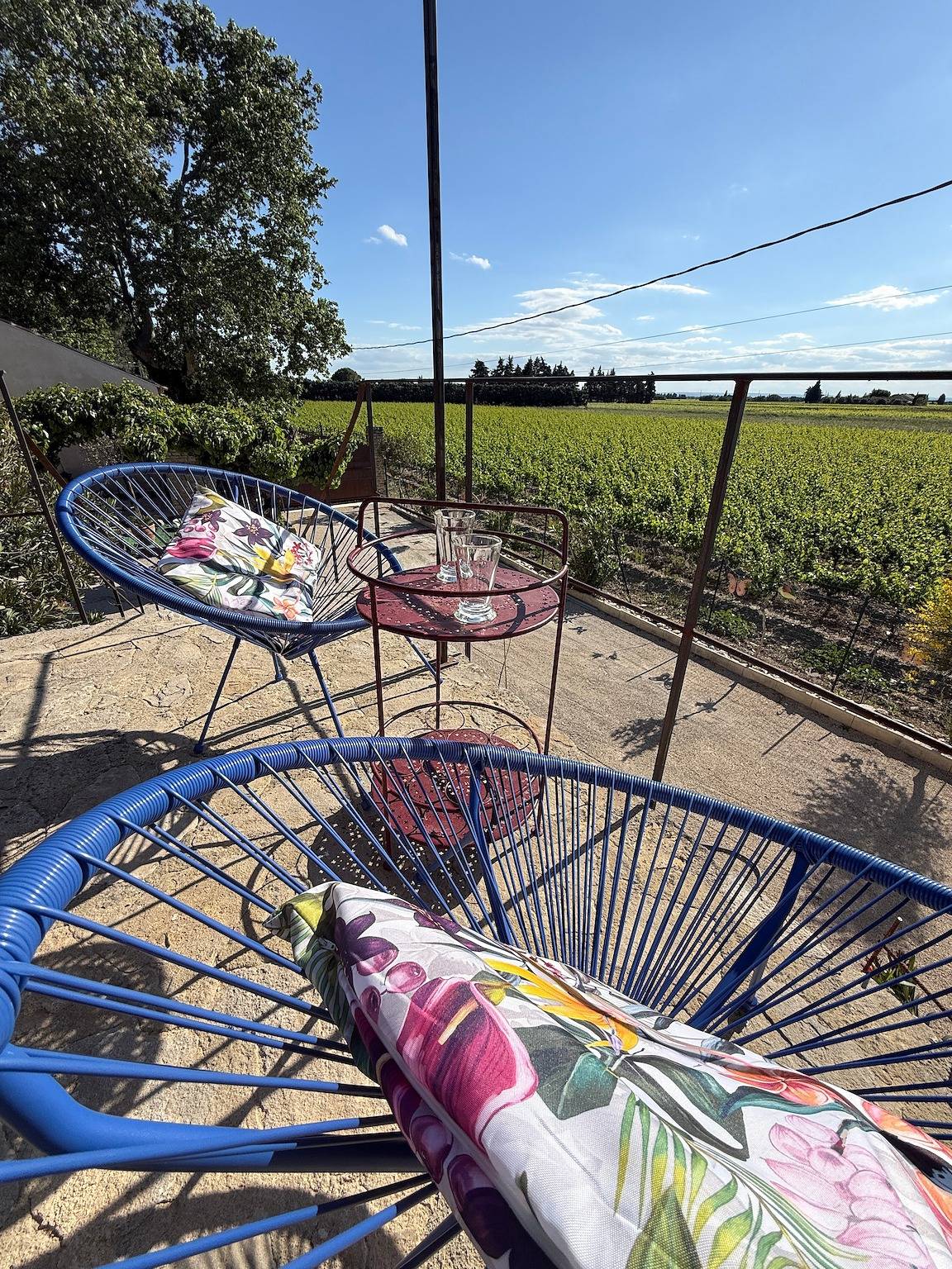 Appartement entier, Gite dans les vignes Abtrus Au Mas Des Armouriers, avec piscine in Violès, Vaucluse