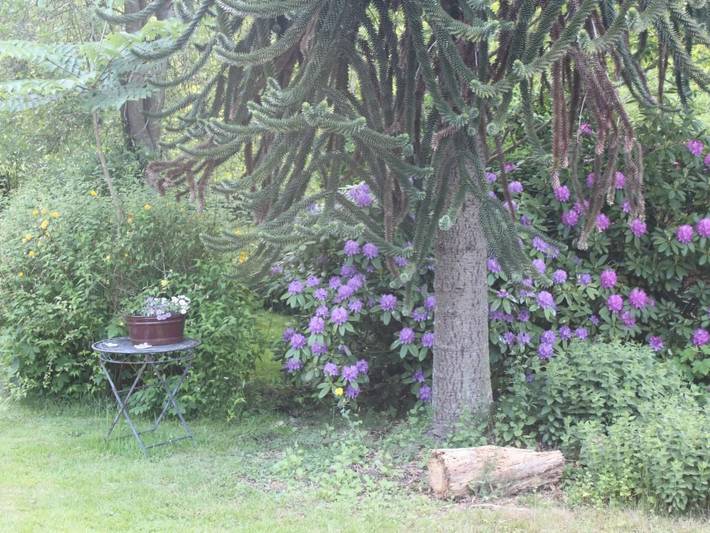 Ferienhaus für 5 Personen, mit Garten in Niedersachsen - 2