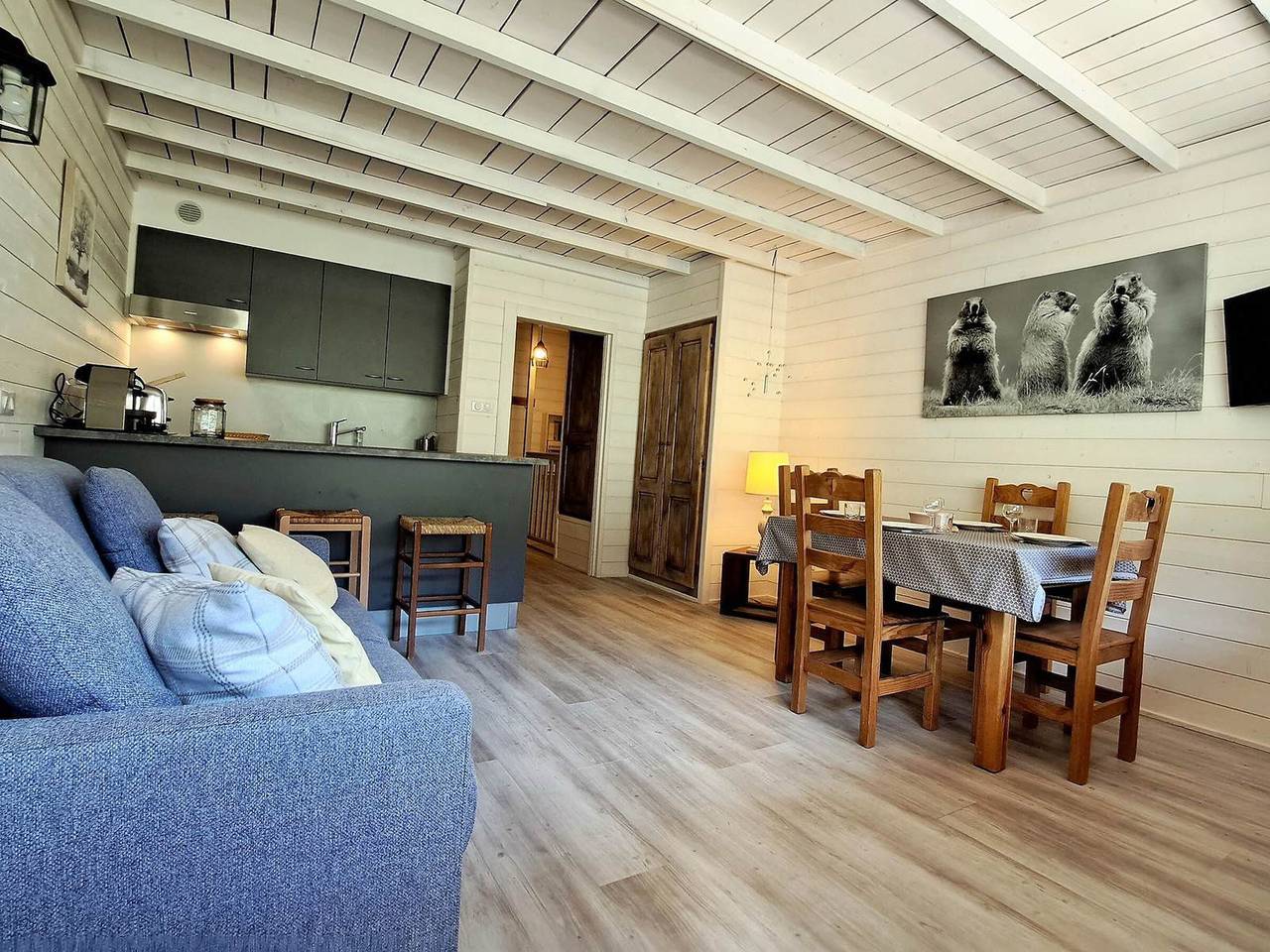 Appartement entier, Superbe duplex rénové au pied des pistes avec terrasse in Pra-Loup (station de ski), Pra-Loup