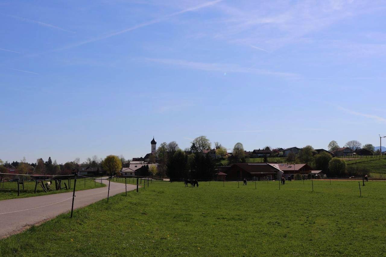 Ganze Wohnung, Ferienwohnung Pferdehof Pankratz in Seeshaupt, Starnberger See