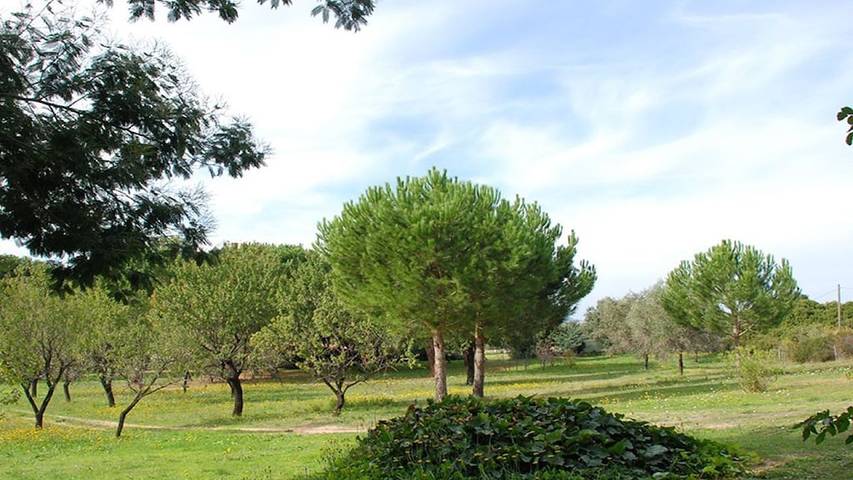 Location de vacances pour 4 personnes, avec terrasse, animaux acceptés à Montegrosso - 3