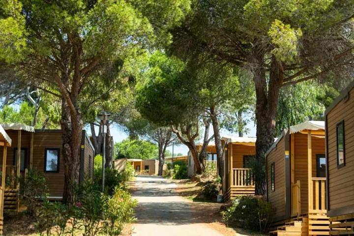 Camping pour 6 personnes, avec terrasse ainsi que piscine et jardin à La Crau - 3