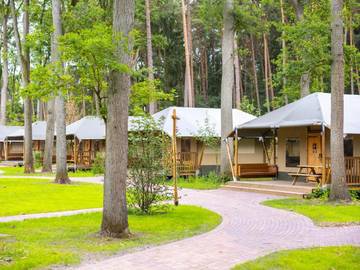 Zelt für 4 Personen, mit Terrasse in Serengeti Park (Hodenhagen)