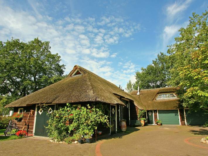Ferienhaus für 8 Personen, mit Terrasse und Whirlpool sowie Garten und Sauna in Balkbrug