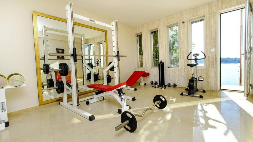 Villa pour 10 personnes, avec sauna ainsi que jardin et piscine, animaux acceptés à Lozica - 2