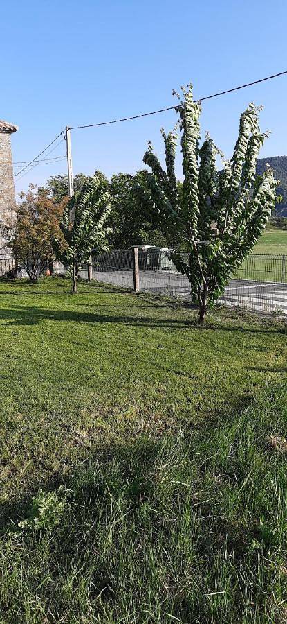 Casa Rural La Escuela in Los Molinos (Huesca), El Pueyo de Araguás