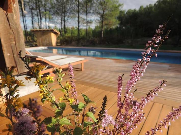 Location de vacances pour 15 personnes, avec piscine et jardin, animaux acceptés à Belin-Béliet - 3