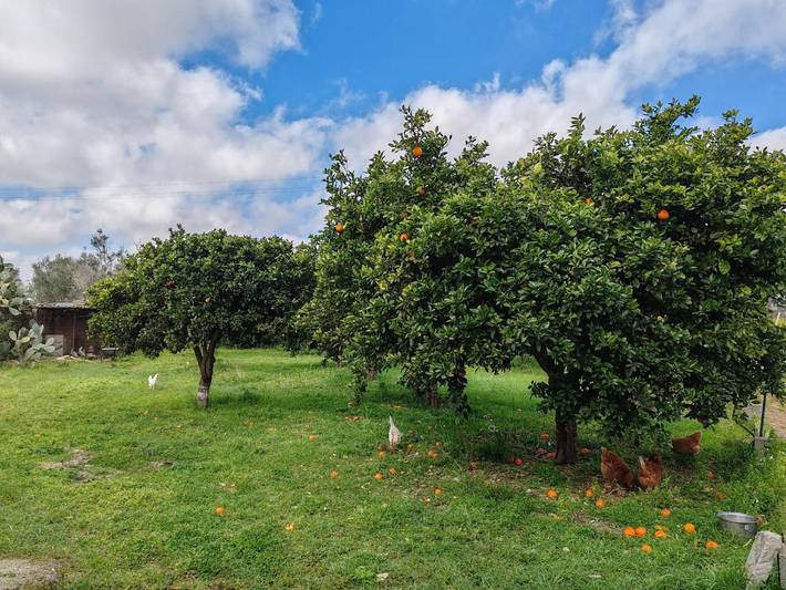 Entire apartment, Ruralholidays Experience in the Heart of Salento in Castri di Lecce, Lecce Province
