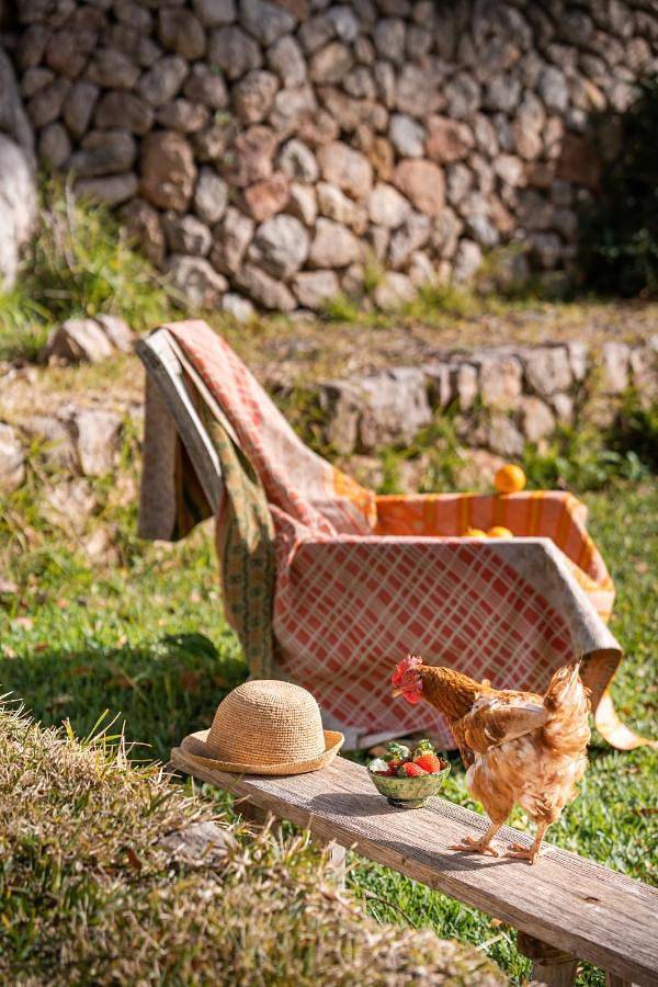 Maison de vacances pour 3 personnes, avec Terrasse et Jardin à Valldemossa