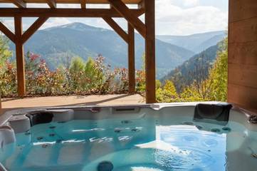 Gîte pour 12 personnes, avec sauna ainsi que jardin et jacuzzi à Muhlbach-sur-Munster