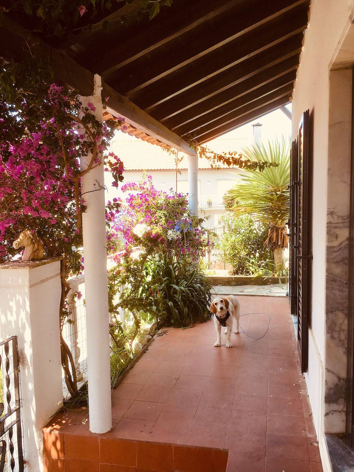 Casa Cao Verde Peaceful Country Retreat with Garden Bbq and Sea Nearby in São Bartolomeu dos Galegos, Lissabon Distrikt