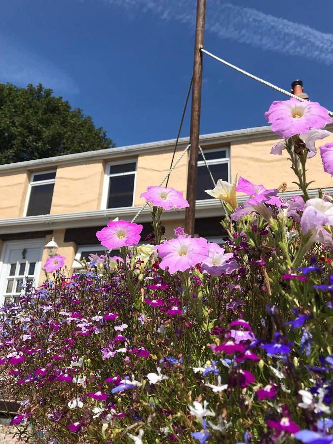 Double or Twin Room with Private Bathroom in Tenby, Pembrokeshire