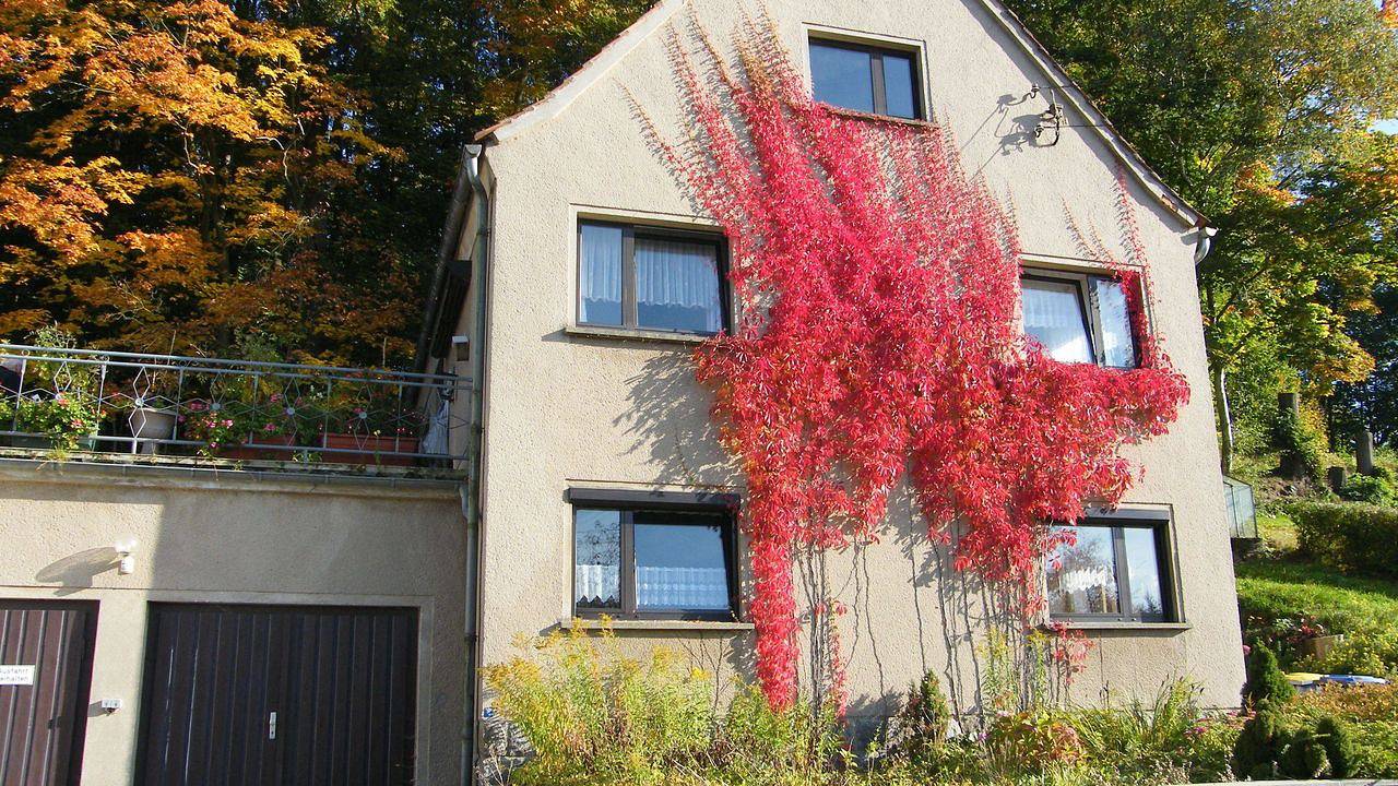 Ferienhaus für 4 Personen (100 m²) in Ebersbach-Neugersdorf in Ebersbach-Neugersdorf, Oberlausitz-Niederschlesien