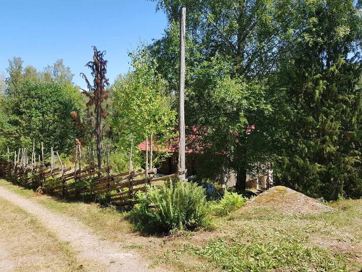 Fågelsången in Kinda, Östergötland