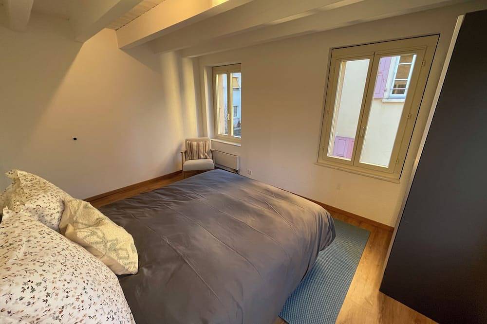 Entire apartment, Beautiful heritage 1 bedroom apartment in Genève, Lake Geneva