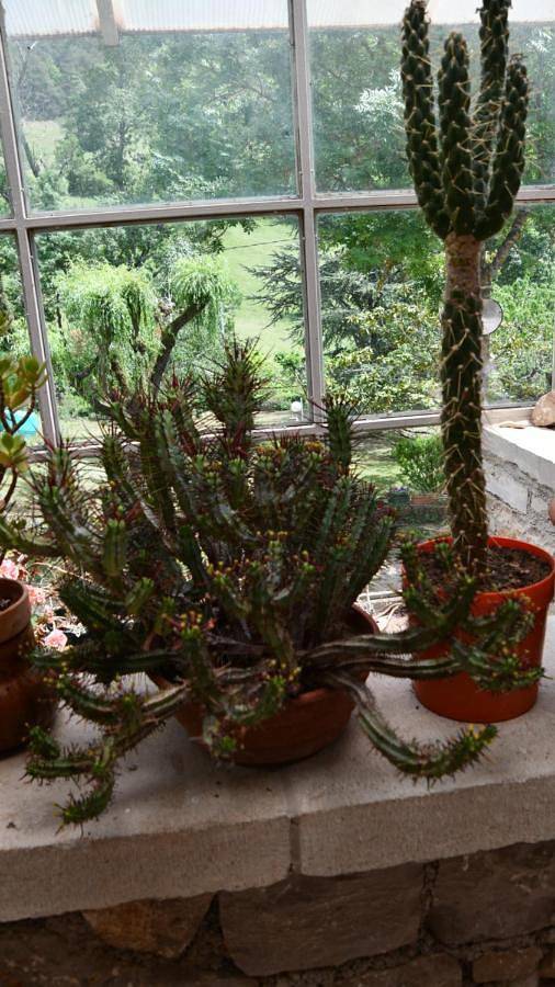 Location de vacances pour 2 personnes, avec jardin et vue, animaux acceptés à Mostuéjouls - 4