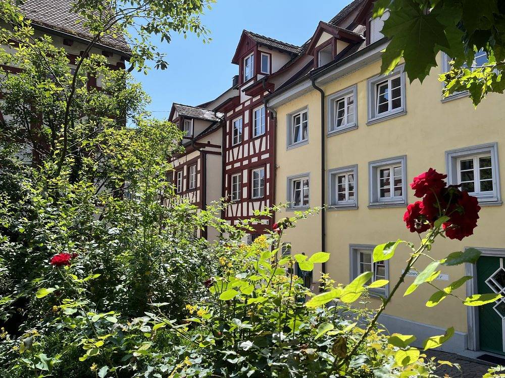 Mainaublick-Traumseesicht mit Terrasse - Mainaublick, foto 6
