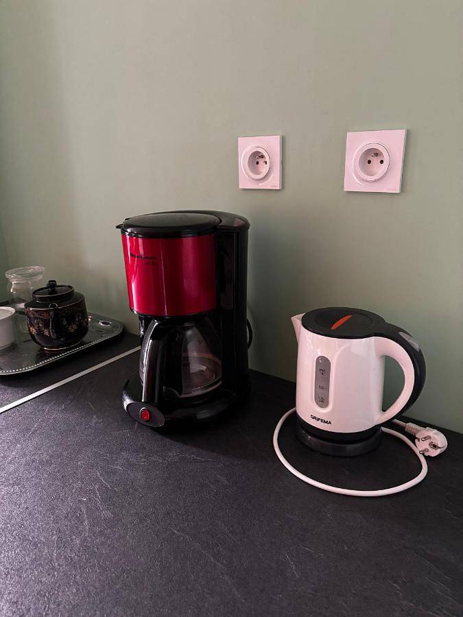 Gîte pour 3 personnes, avec terrasse à Grisolles - 4