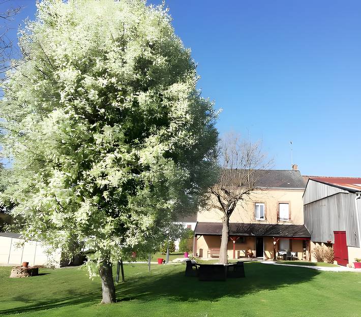 Gîte pour 7 personnes, avec jardin à Arnac-la-Poste - 2